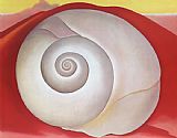 White Shell With Red c. 1938 by Georgia O'Keeffe